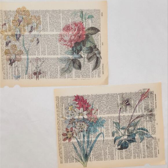 Flower Dictionary Prints 2, Colorful Floral Prints, Book Page Prints - Picture 6 of 6